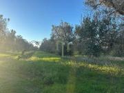 Terreno in vendita a Carovigno BR
