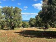 Terreno in vendita a Carovigno BR