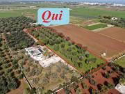 Terreno in vendita a Carovigno BR