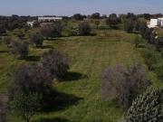 Terreno in vendita a Carovigno BR