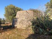 Terreno in vendita a Carovigno BR