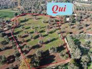 Terreno in vendita a Carovigno BR