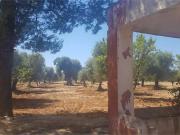 Terreno in vendita a Carovigno BR