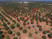 Terreno in vendita a Carovigno BR