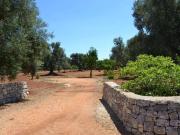 Terreno in vendita a Carovigno BR