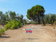 Terreno in vendita a Carovigno BR