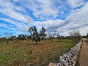 Terreno in vendita a Carovigno BR