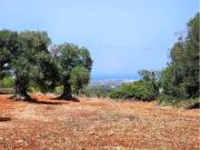 Terreno in vendita a Carovigno BR