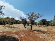 Terreno in vendita a Carovigno BR