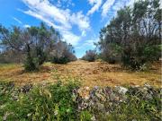 Terreno in vendita a Carovigno BR