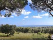 Terreno in vendita a Carovigno BR