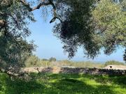 Terreno in vendita a Carovigno BR