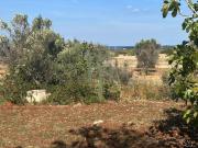 Terreno in vendita a Carovigno BR