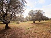 Terreno in vendita a Carovigno BR