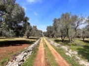 Terreno in vendita a Carovigno BR