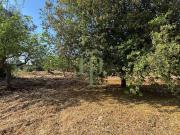 Terreno in vendita a Carovigno BR