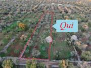 Terreno in vendita a Carovigno BR