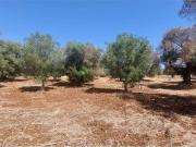 Terreno in vendita a Carovigno BR