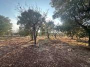 Terreno in vendita a Carovigno BR