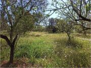 Terreno in vendita a Carovigno BR