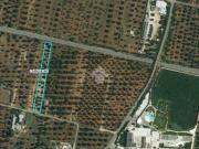 Terreno in vendita a Carovigno BR