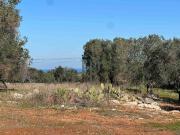 Terreno in vendita a Carovigno BR