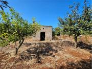 Terreno in vendita a Carovigno BR
