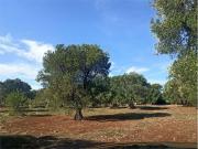 Terreno in vendita a Carovigno BR