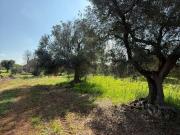 Terreno in vendita a Carovigno BR