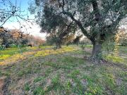 Terreno in vendita a Carovigno BR
