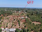 Terreno in vendita a Carovigno BR