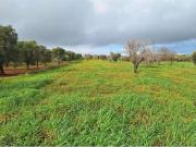 Terreno in vendita a Carovigno BR