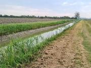 Terreno in vendita a Carpi MO
