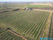 Terreno in vendita a Carpi MO