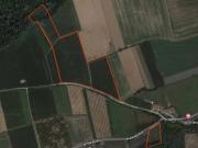 Terreno in vendita a Carrù CN