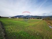 Terreno in vendita a Carvico BG