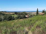 Terreno in vendita a Casale Marittimo PI