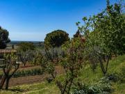 Terreno in vendita a Casale Marittimo PI