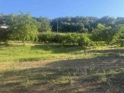 Terreno in vendita a Casale Marittimo PI