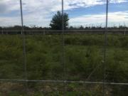 Terreno in vendita a Casaluce CE