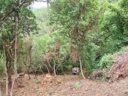 Terreno in vendita a Casarza Ligure GE