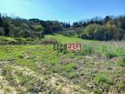 Terreno in vendita a Casciana Terme Lari PI
