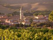 Terreno in vendita a Casciana Terme Lari PI