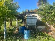 Terreno in vendita a Cascina, Pettori