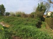 Terreno in vendita a Cascina PI