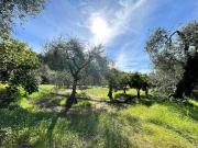 Terreno in vendita a Caserta CE Terreno in vendita a Caserta CE