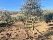 Terreno in vendita a Caserta CE