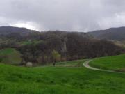 Terreno in vendita a Casina RE