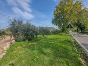 Terreno in vendita a Casoli CH