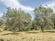 Terreno in vendita a Casperia RI